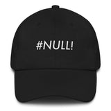 #NULL! Excel Error Cotton Dad Hat-Crypto Daddy